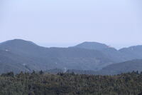 Blick auf den Trifels